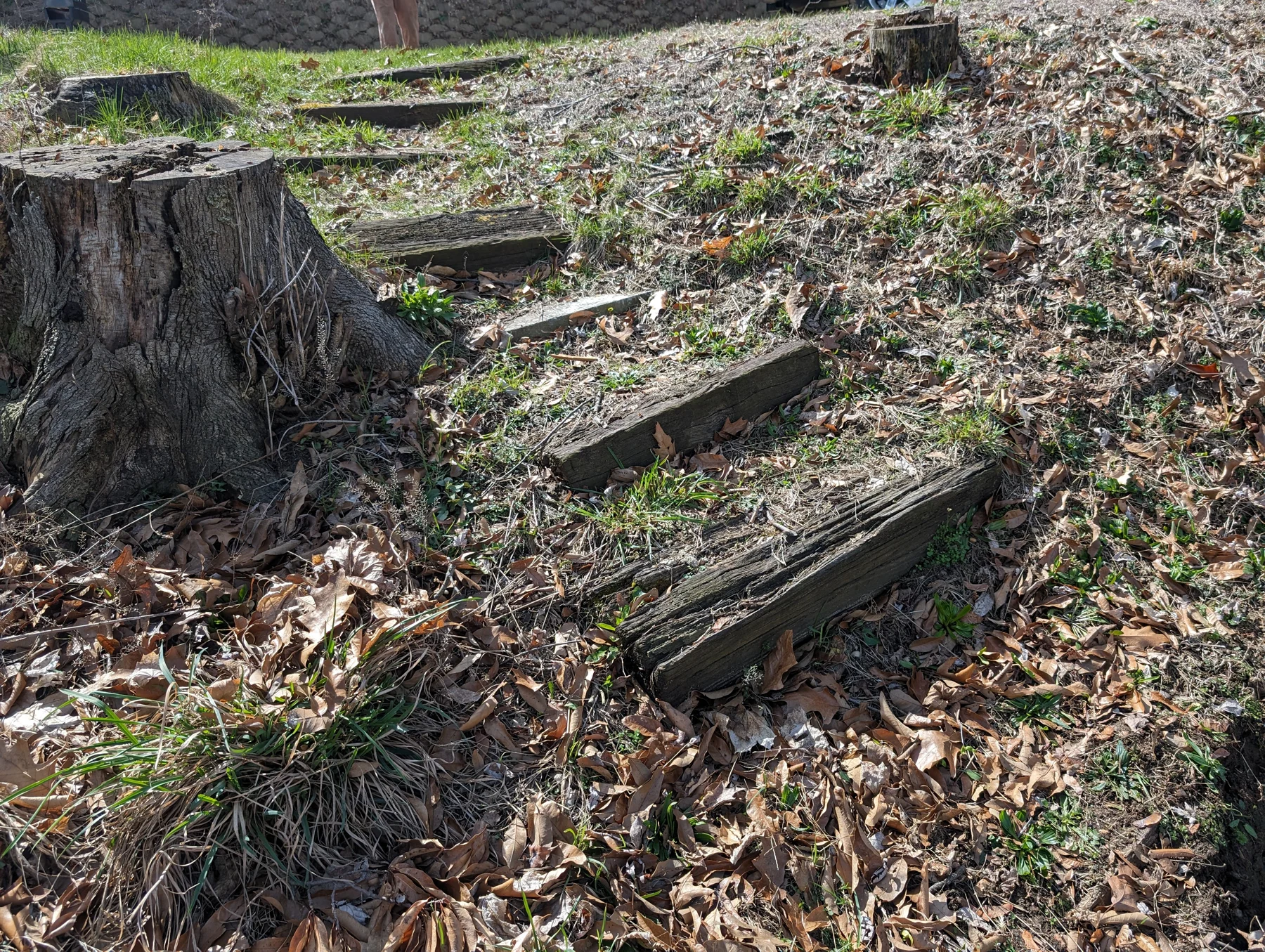 Weathered timber steps in the hillside before the shoreline-access project.