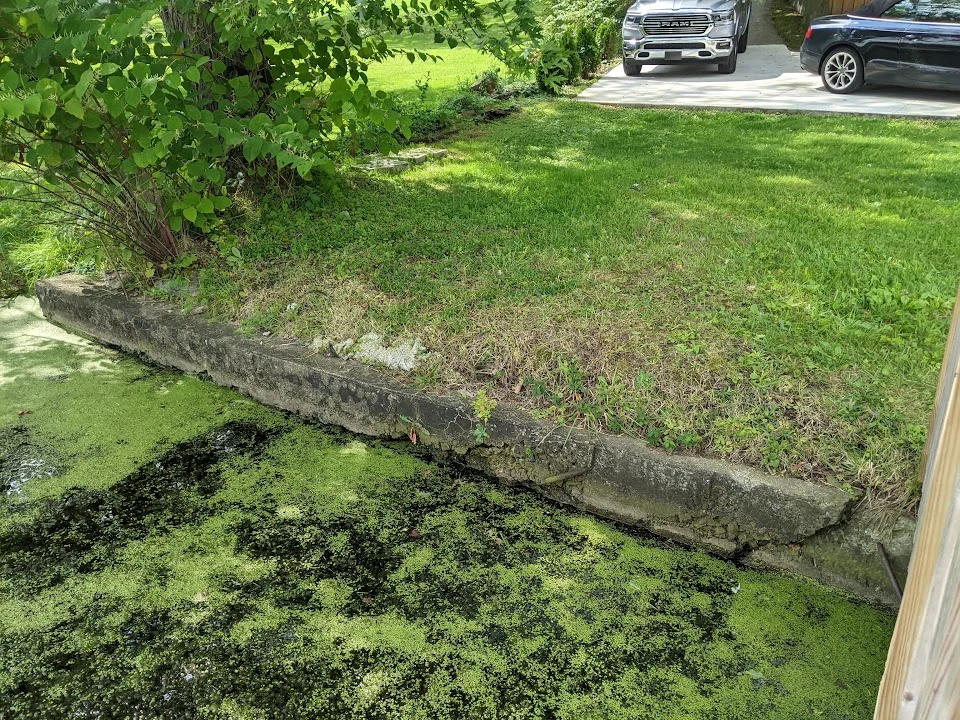 The weathered original shoreline wall beneath the grassy bank.