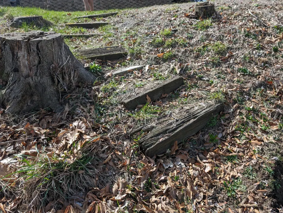 Weathered timber steps in the hillside before the shoreline-access project.