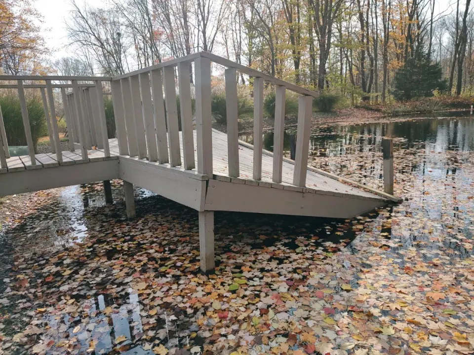The original pond dock with its outer platform sloping down toward the water.