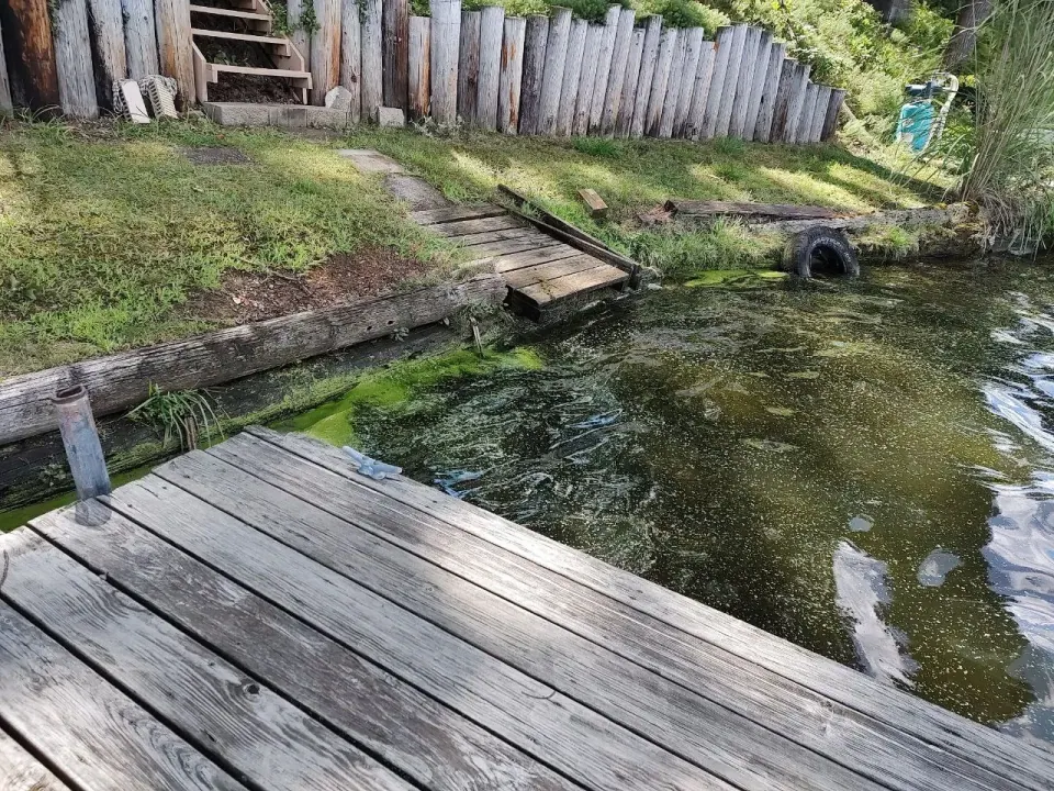 Weathered timber shoreline edge and uneven wooden landing beside the water